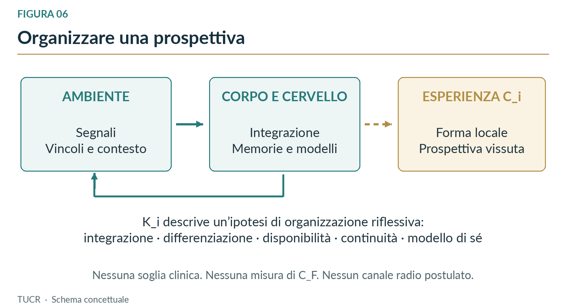 Figura 6. Organizzazione locale, contesto ed esperienza. Ki è un indice funzionale proposto, non una misura del fondamento.